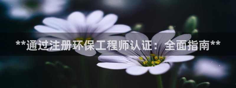 彩名堂怎么打最稳：**通过注册环保工程师认证：全面指南**