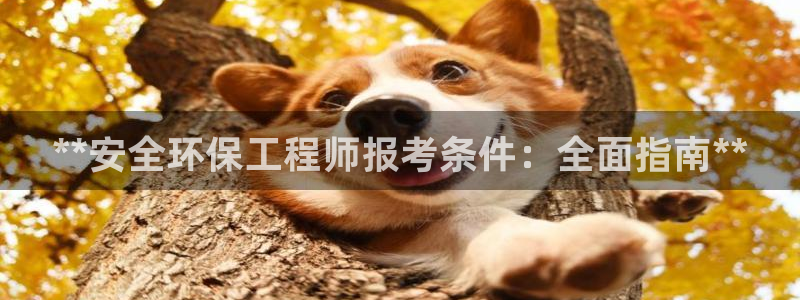 cmt彩名堂：**安全环保工程师报考条件：全面指南**