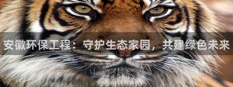彩名堂官方下载地址：安徽环保工程：守护生态家园，共建绿色未来