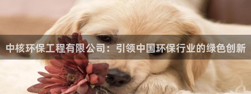 彩名堂一直不出结果怎么回事呢：中核环