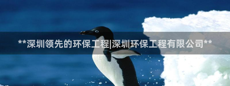 彩名堂移动客户端官网：**深圳领先的