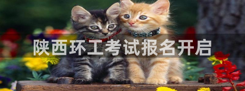 彩名堂苹果客户端怎么下载：陕西环工考试报名开启