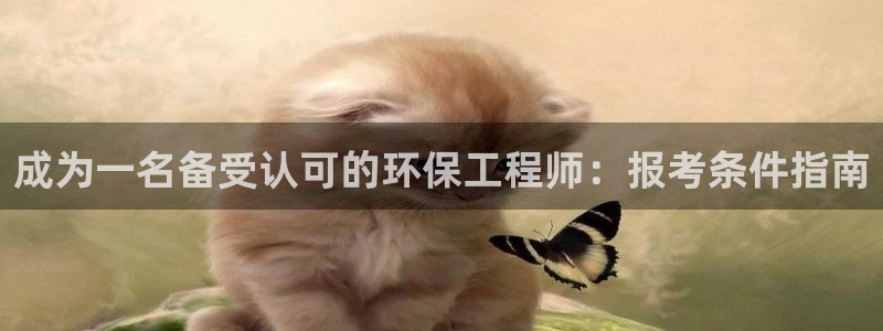 彩名堂使用方法和用量：成为一名备受认可的环保工程师：报考条件指南