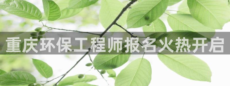 彩名堂人工计划怎么找不到下载了?：重