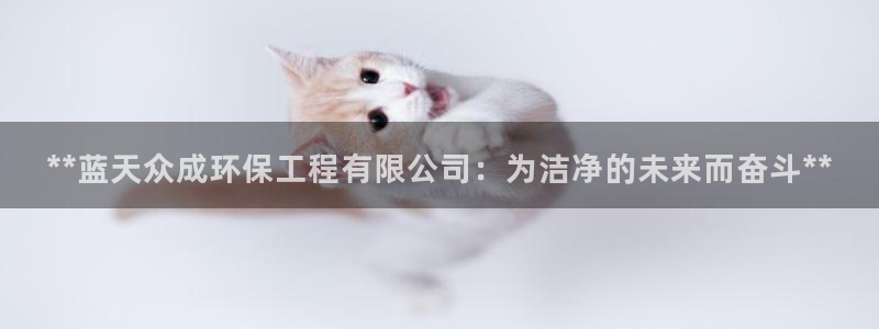 彩名堂网页：**蓝天众成环保工程有限公司：为洁净的未来而奋斗**
