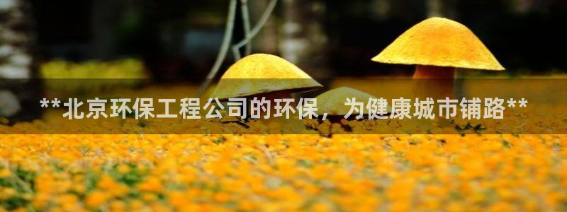 彩名堂到底怎么看,一跟就挂：**北京