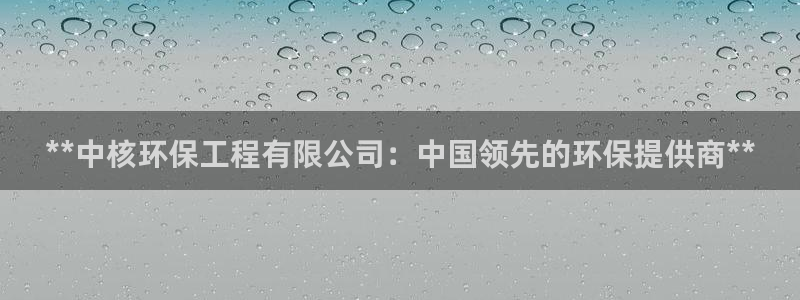 彩名堂怎么用不输：**中核环保工程有