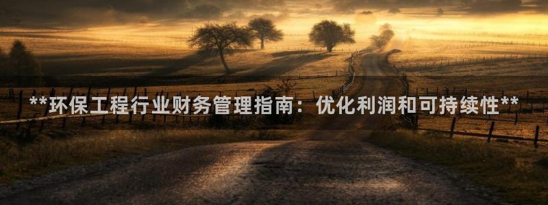 彩名堂免费计划官网老版本：**环保工程行业财务管理指南：优化利润和可持续性**