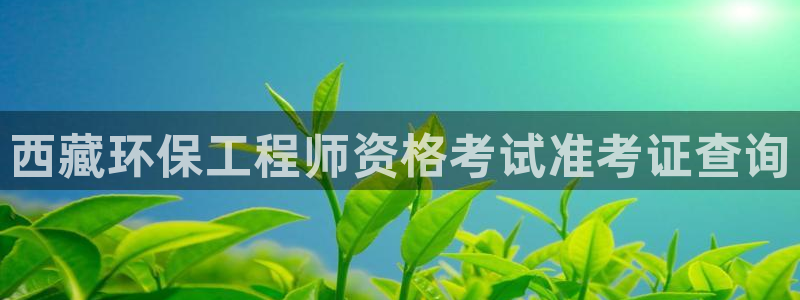 彩名堂手机客户端：西藏环保工程师资格