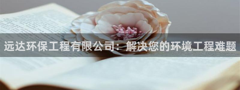 彩名堂好用还是千里马好用：远达环保工