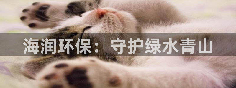 彩名堂免费计划官网老版本：海润环保：