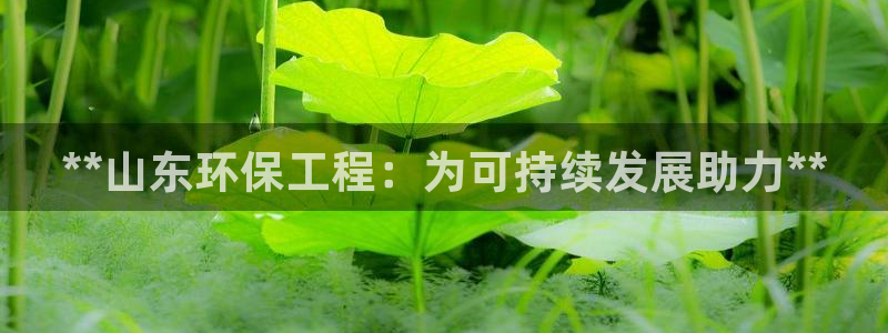 最新彩名堂计划：**山东环保工程：为