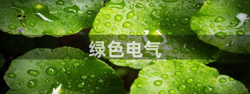 彩名堂怎么打最稳：绿色电气