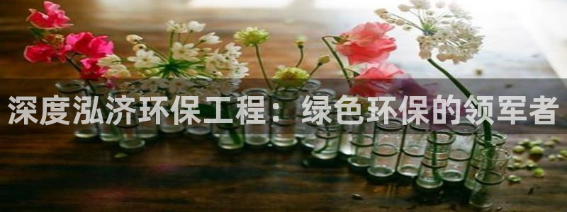 彩名堂人工预测免费计划：深度泓济环保