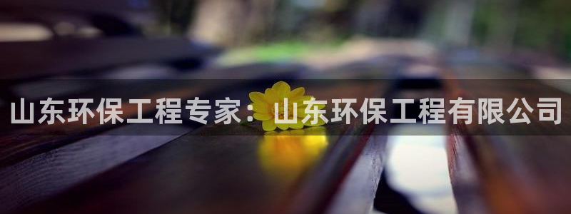 彩名堂人工计划怎么找不到下载了?：山