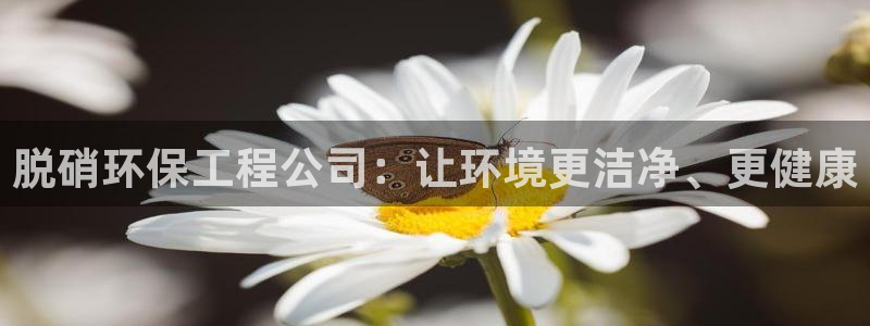 彩名堂最新计划下载地址：脱硝环保工程