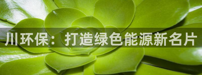 彩名堂预测网站：川环保：打造绿色能源