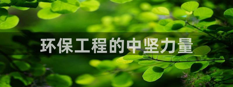 彩名堂手机版官网：环保工程的中坚力量
