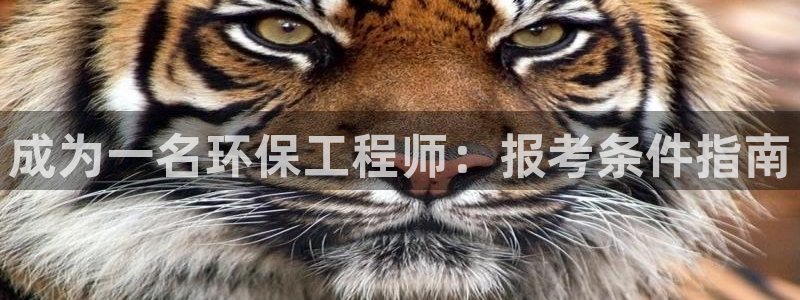 彩名堂一直不出结果怎么回事呢：成为一