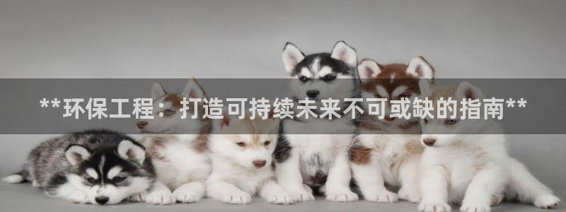 彩名堂移动客户端官网：**环保工程：打造可持续未来不可或缺的指南**