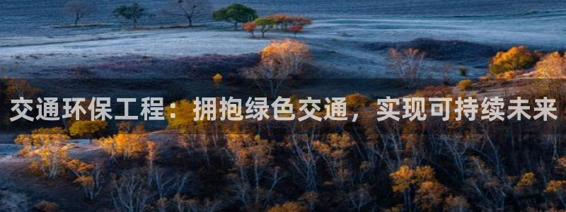 彩名堂预测软件：交通环保工程：拥抱绿