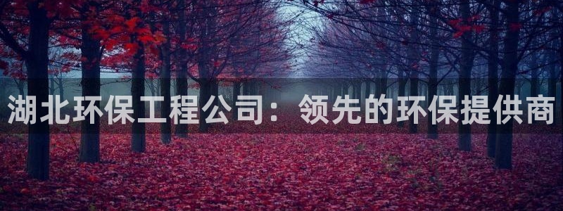 彩名堂计划技巧：湖北环保工程公司：领