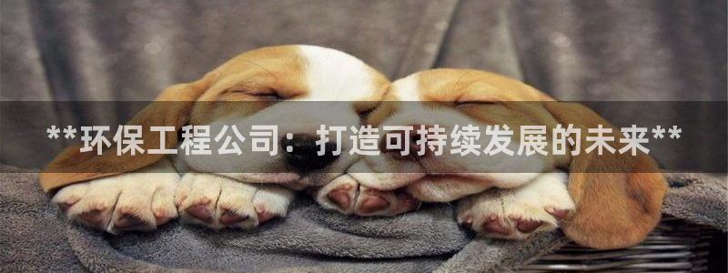 彩名堂平台：**环保工程公司：打造可
