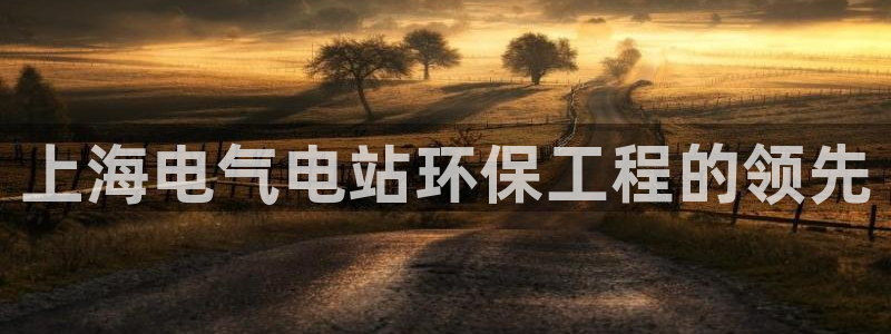 彩名堂计划技巧：上海电气电站环保工程