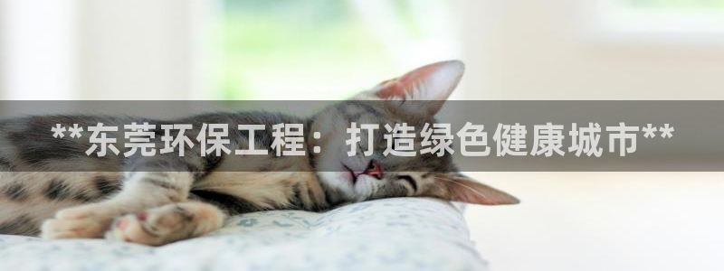 彩名堂01计划：**东莞环保工程：打