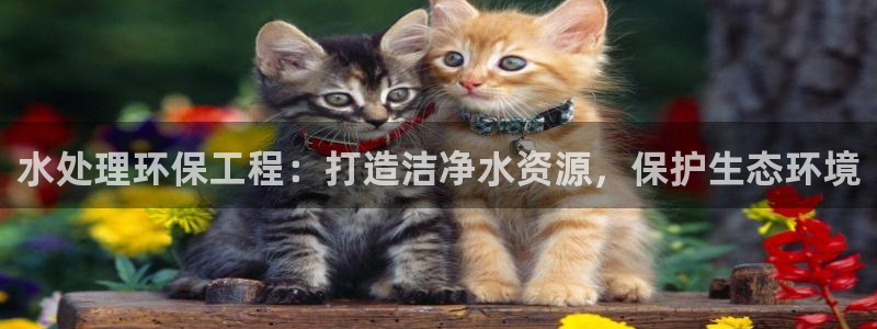 彩名堂一直不出结果怎么回事呢：水处理