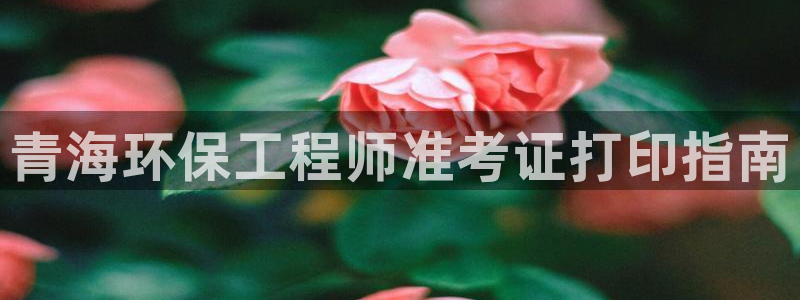 彩名堂不能用了吗：青海环保工程师准考证打印指南