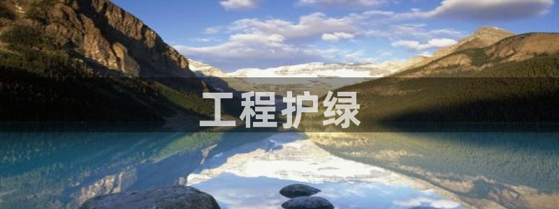 彩名堂官网计划怎么下载：工程护绿