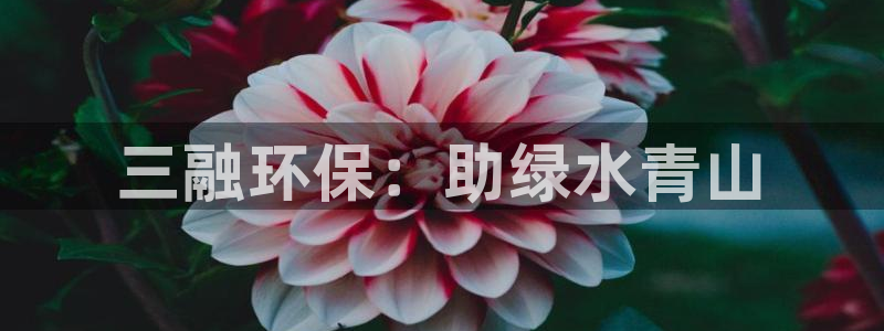 彩名堂5.0计划永久免费版为什么下不