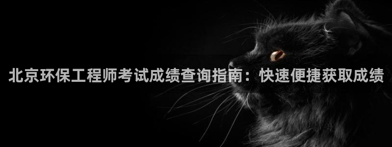 彩名堂计划怎么跟,为什么我一跟就挂：北京环保工程师考试成绩查询指南：快速便捷获取成绩