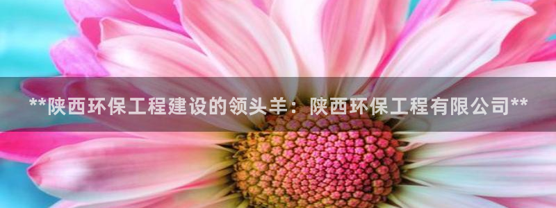 彩名堂最新免费计划官网：**陕西环保工程建设的领头羊：陕西环保工程有限公司**