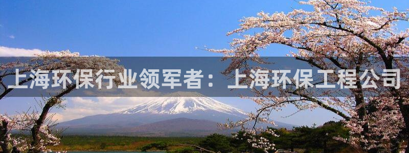 彩名堂.apk：上海环保行业领军者：