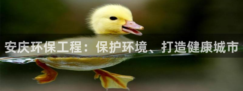 彩名堂免费计划5.0使用方法：安庆环