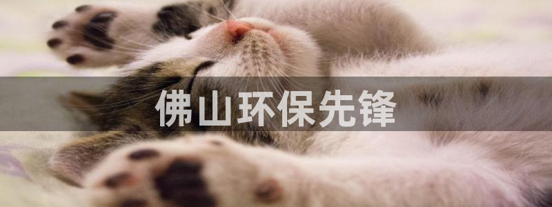 彩名堂975新版本：佛山环保先锋