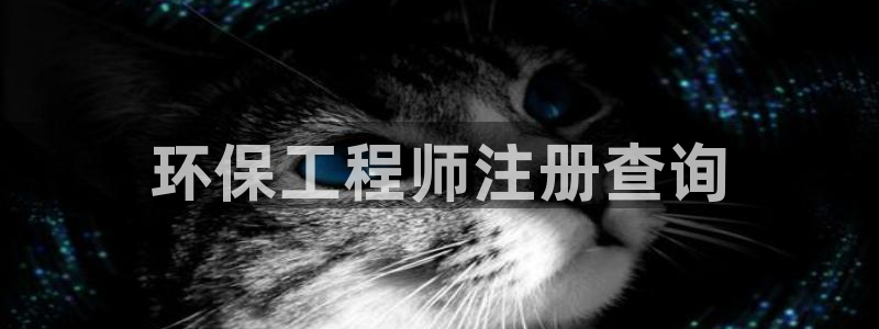 彩名堂怎么不能用了：环保工程师注册查