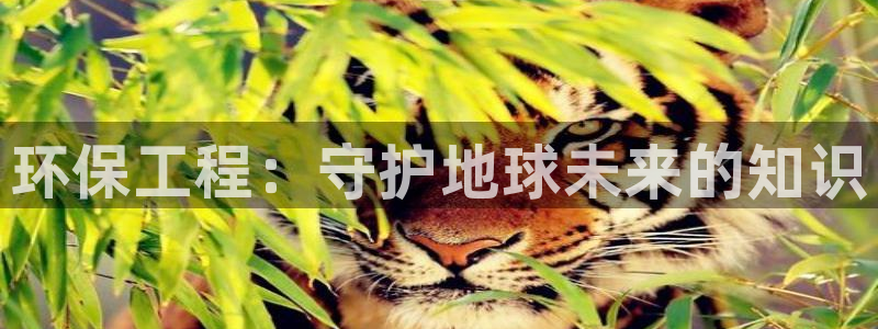 彩名堂免费计划亮点：环保工程：守护地