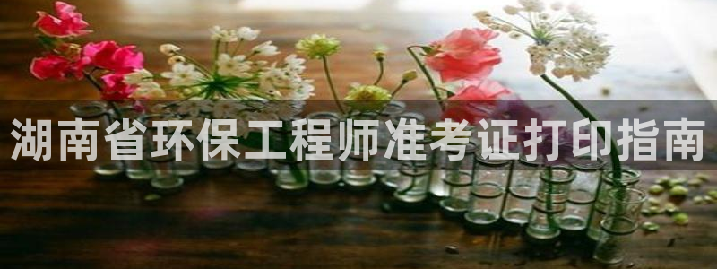 彩名堂苹果客户端：湖南省环保工程师准