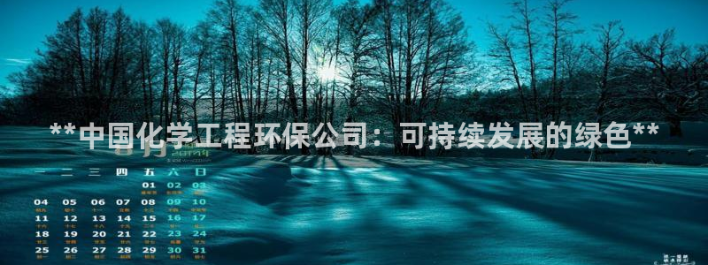 彩名堂跟哪种最好用：**中国化学工程环保公司：可持续发展的绿色**