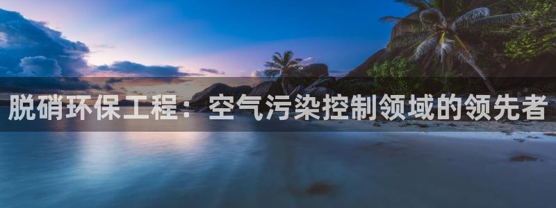 谁知道彩名堂网站是多少：脱硝环保工程