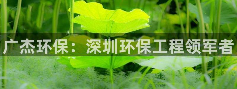 彩名堂官方平台：广杰环保：深圳环保工