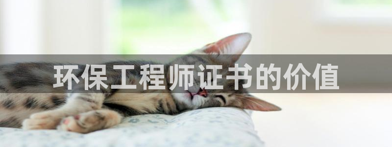 彩名堂怎么用不输：环保工程师证书的价