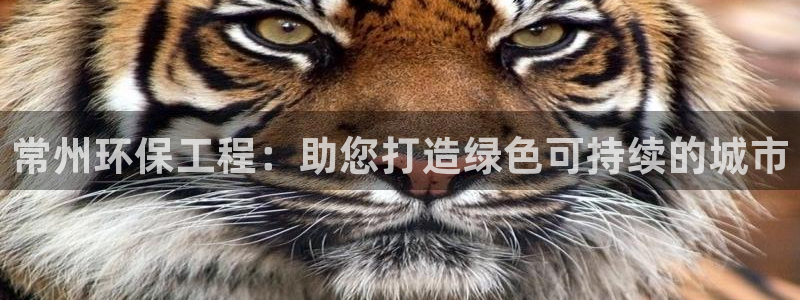 彩名堂开奖结果查询：常州环保工程：助