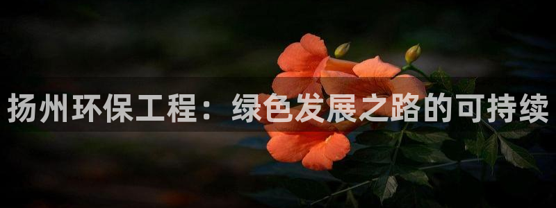 彩名堂计划最新版手机版：扬州环保工程