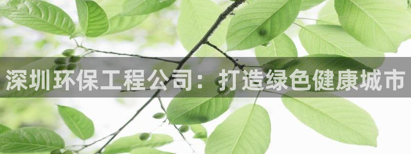 彩名堂人工计划怎么找不到下载了?：深