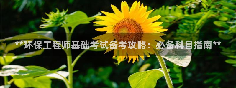下载彩名堂预测计划软件：**环保工程师基础考试备考攻略：必备科目指南**