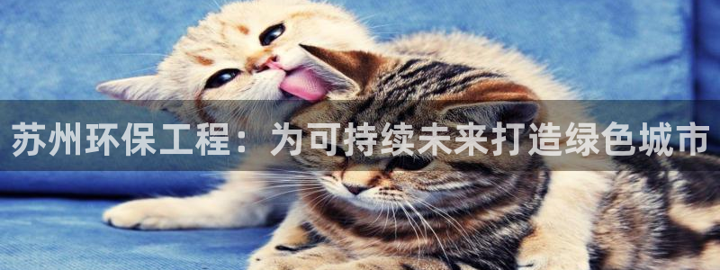 彩名堂怎么跟计划才不连挂在一起：苏州